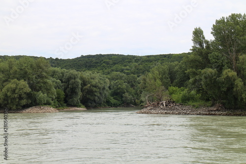 Riverbank of Danube river between Bratislava and Devin  Bratislava  Slovakia