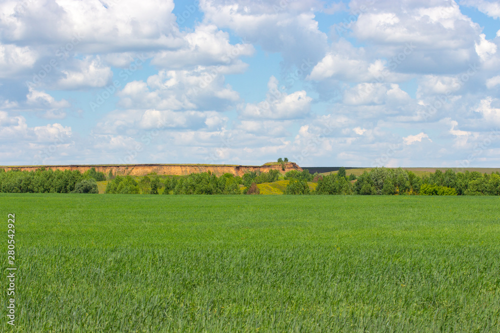 Sunny summer landscape, green wheat field, cloudy sky, sand pit on the horizon. Sunny summer landscape, green wheat field, cloudy sky, sand pit on the horizon.