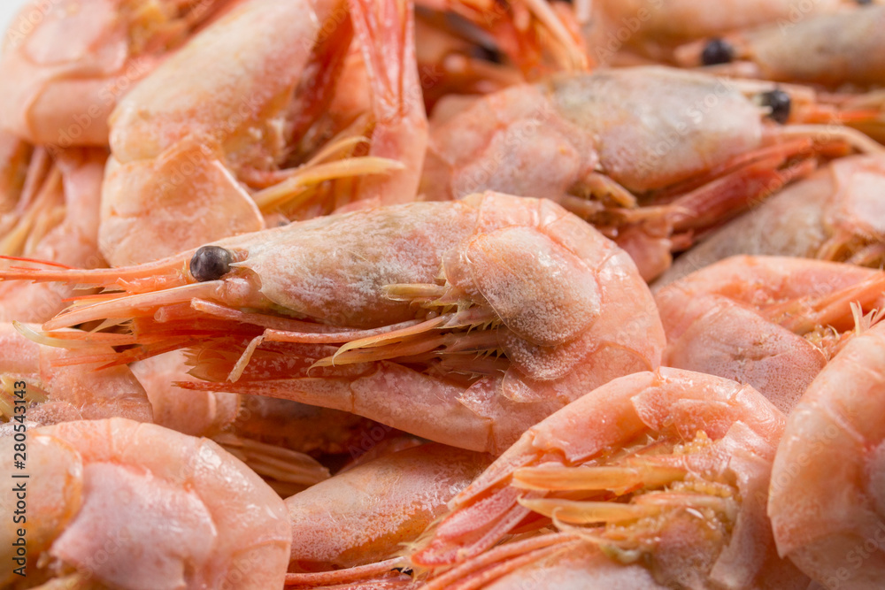 Background banner wallpaper pink boiled shrimp prawn with head and eyes close-up Background banner wallpaper pink boiled shrimp prawn with head and eyes close-up