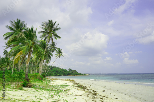 Beautiful panoramic tropical beach with coconut palm and white sand                          