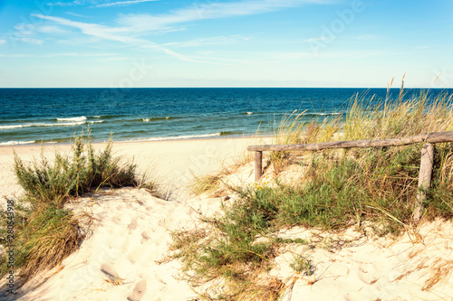 sea dunes and beach grass on summer time
