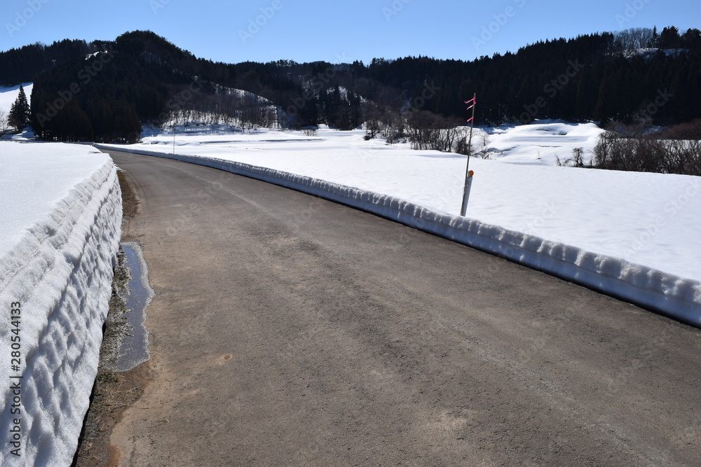 Obraz premium 北国の道路