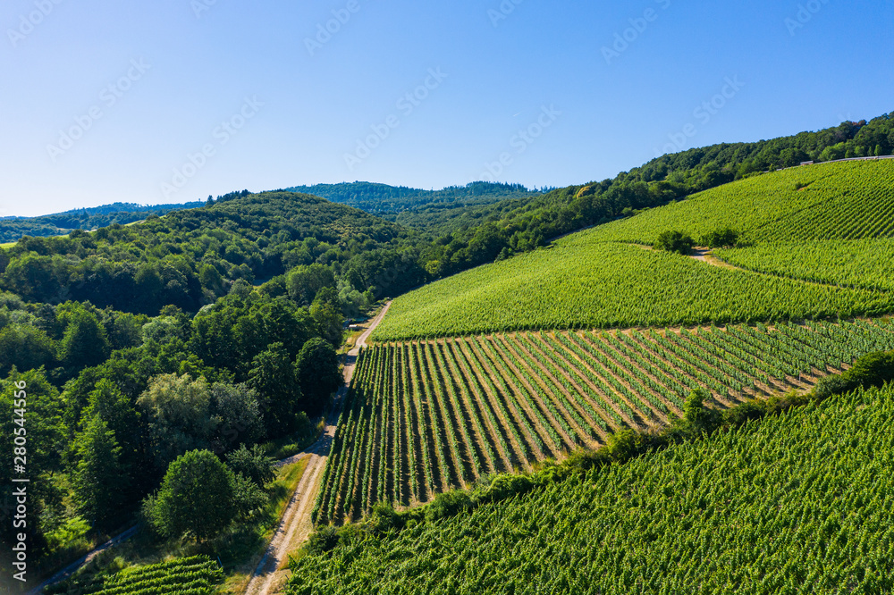 Blick von oben auf die Weinberge rund um Hattenheim/Deutschland im Rheingau