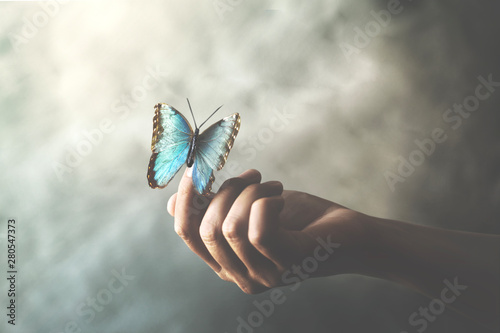 Canvas Print a butterfly leans on a woman's hand