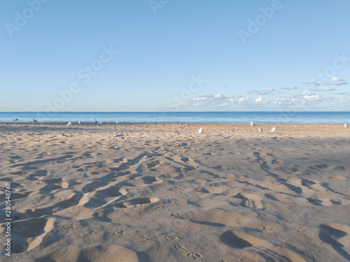 Manly Beach  Sydney  clear blue sky  gulls and footprints in the sand