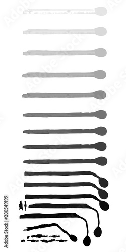 Unlit, half burnt and burned safety matches isolated on white. Hand drawn matchstick vector set with black and white gradient. Emotional burnout concept.