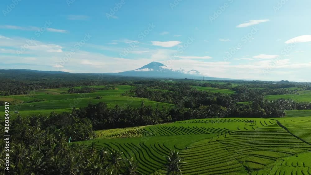 Aerial view of Bali landscape. Rice terraces and arecaceae forest with Mount Agung volcano in the background, drone pedestal up establishing shot Aerial view of Bali landscape. Rice terraces and arecaceae forest with Mount Agung volcano in the background, drone pedestal up establishing shot