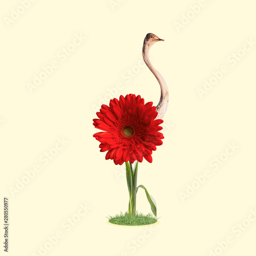 Self growned. An ostrich as bright red flower, growning on the ground on yellow background. Negative space to insert your text. Modern design. Contemporary art. Creative conceptual and colorful photo