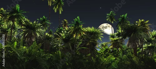 Obraz Dżungla nocą, księżyc nad palmami, panorama dżungli pod księżycem