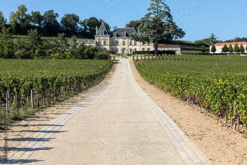  Vineyard of Chateau Fonplegade - name  literally fountain of plenty  was derived from the historic 13th century stone fountain that graces the estate s vineyard. St Emilion  France