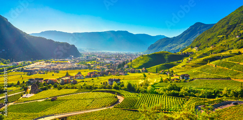 Vineyards view in Santa Maddalena Bolzano. Trentino Alto Adige Sud Tyrol, Italy.