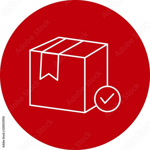 Valid Delivery of Package Check icon for your project