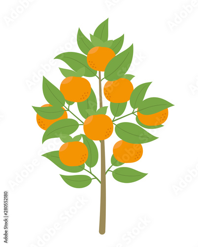 Mandarin tree. Vector illustration. Ripe fruit orange mandarin plant. Flat vector clipart.