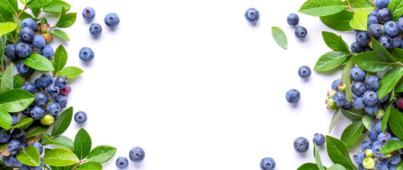 Blueberries and leaves