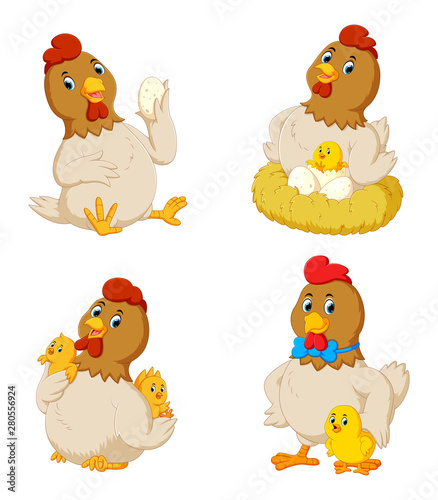 Collection of cute chicken with various posing