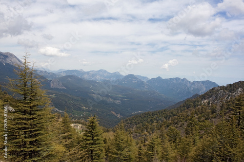 Scenic mountain landscape. Relict forest of Lebanon cedar. Saddle between the mountain Tahtalı Mountain Range and adjacent peaks. Far to the top of the mountains. Lycian Way, Turkey