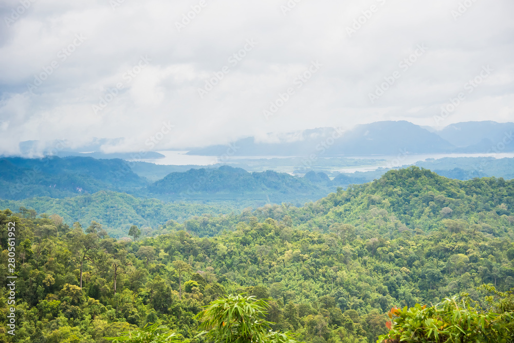 Fototapeta premium The forest with fog after raining.Thailand.