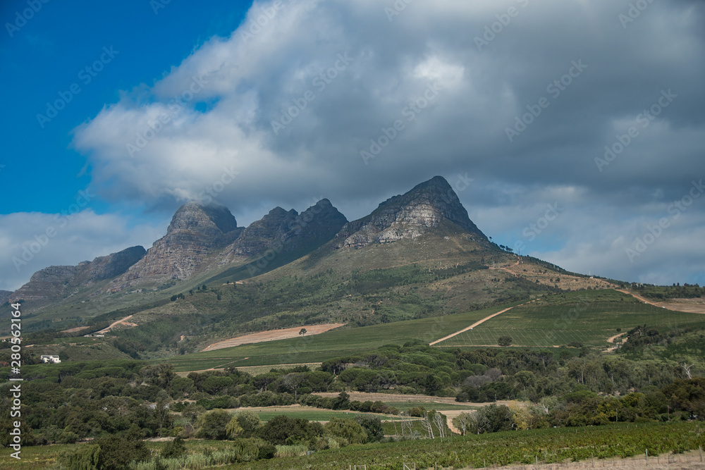 Vineyards in the Stellenbosch region of the Western Cape