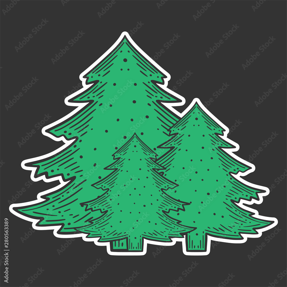 Evergreen pine tree. Vector concept in doodle and sketch style.