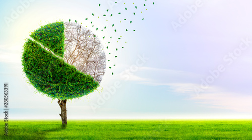 Картината върху платно Loss of market share The pie chart is a growing green tree and falls into a business concept of losing money, a symbol of economic investment