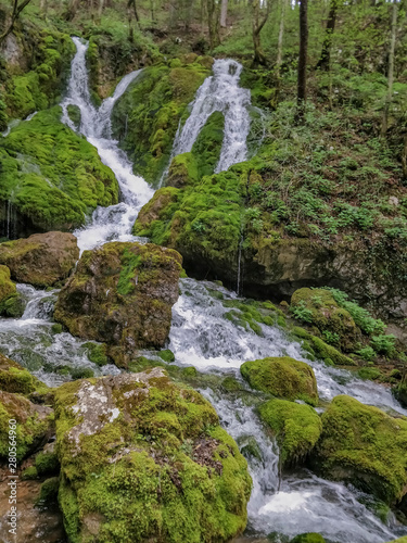 Wonderful mountain spring waterfalls flowing over moss covered stones.