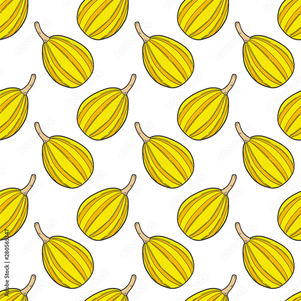 Fresh raw pumpkin. Vector concept in doodle and sketch style. Hand drawn illustration for printing on T-shirts, postcards. Fresh raw pumpkin. Vector concept in doodle and sketch style. Hand drawn illustration for printing on T-shirts, postcards.