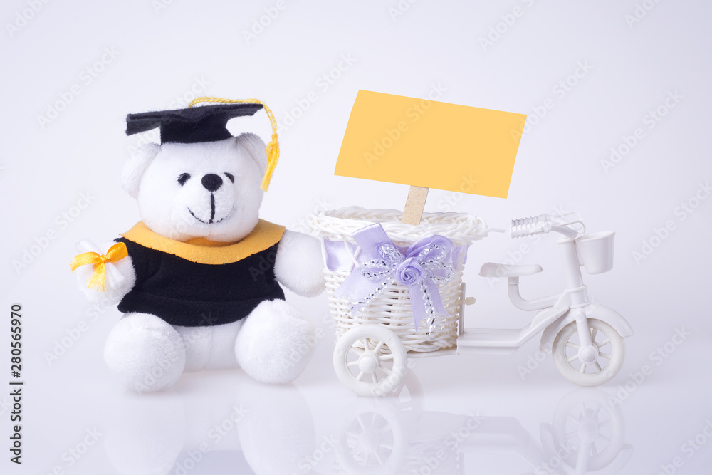 graduation greeting ilustration, white bear with space for graduation concept