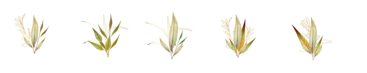 Floral wedding logo .Hand drawn watercolor illustrations. Botanical clipart.