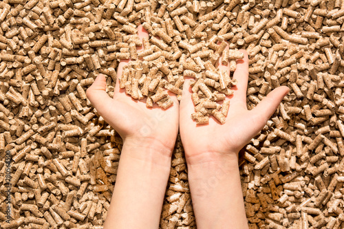 children`s hand with natural wood pellet