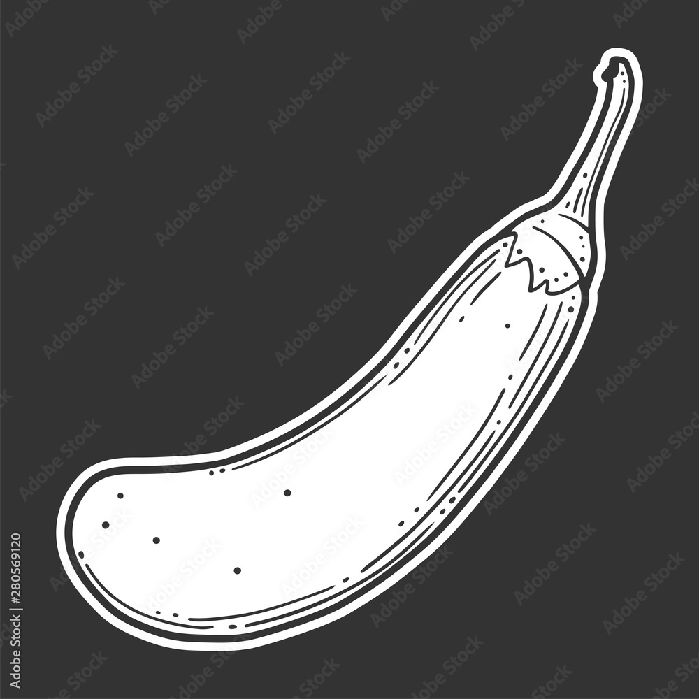 Fresh raw eggplant. Vector concept in doodle and sketch style. Fresh raw eggplant. Vector concept in doodle and sketch style.