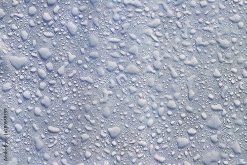 texture of water droplets on white background