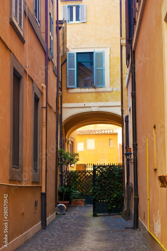 Narrow solitary dead-end street in the city center of Rome © shinedawn