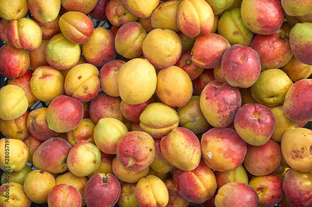 many orange apricot berries new crop texture many orange apricot berries new crop texture