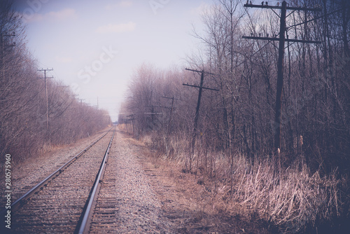 railway landscape crossing the forests