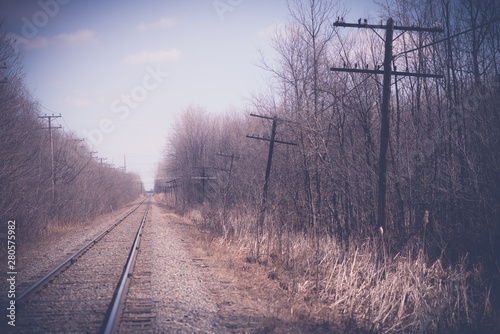 railway landscape crossing the forests photo
