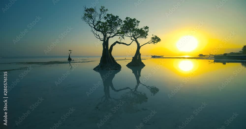 custom made wallpaper toronto digitalBeautiful dancing trees in Walakiri beach at sunrise clip 4K, Sumba, Indonesia