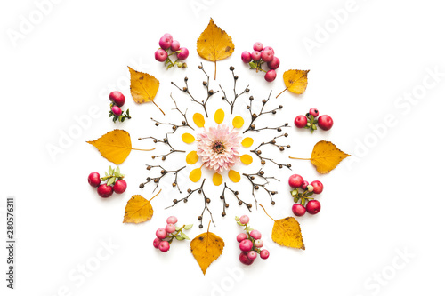 Autumn Mandala Made Of Dry Leaves, Berries, Twigs And Pink Flowerhead