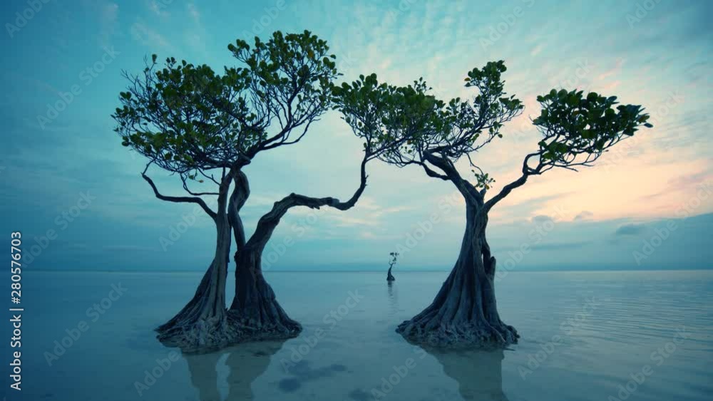 custom made wallpaper toronto digitalBeautiful dancing trees in Walakiri beach at sunrise clip 4K, Sumba, Indonesia