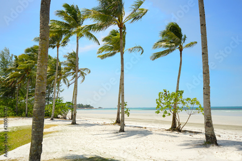 tropical beach white sand with coconut palm blue sky © PINANDIKA