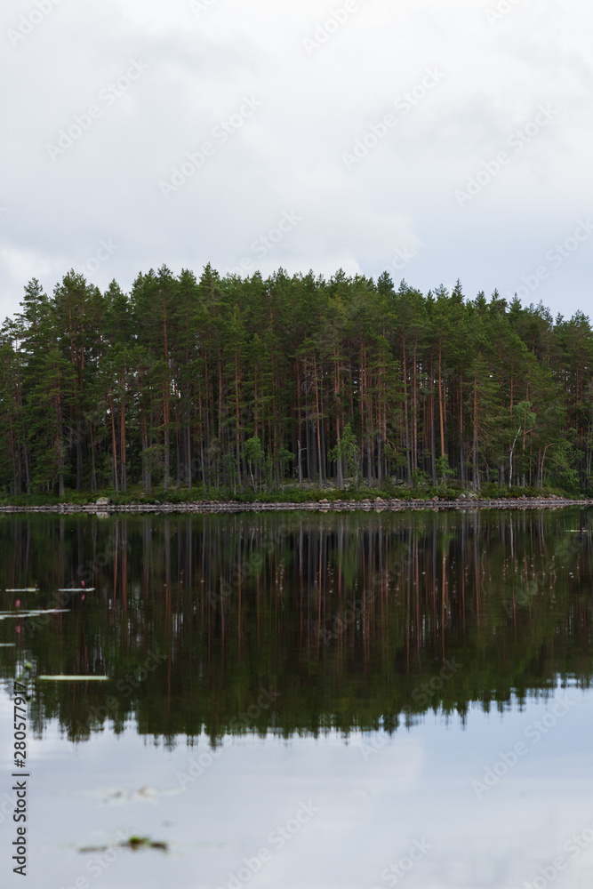 Small bay in a lake, filled with trees during a cloudy day in summer. Swedish summer as seen outside the cities. Water creating a mirror reflection of the forest and clouds in the water. 