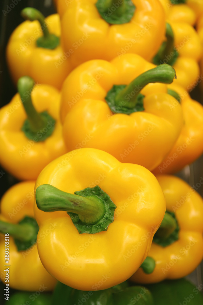 Pile of Vibrant Yellow Fresh Ripe Bell-peppers with Green Stems Pile of Vibrant Yellow Fresh Ripe Bell-peppers with Green Stems