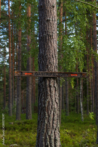 Sign for Gästrikeleden (path in Gästrikland, Sweden) in a forest in Gästrikland, Sweden during an early morning in summer. Showing the way while walking in the forest. 