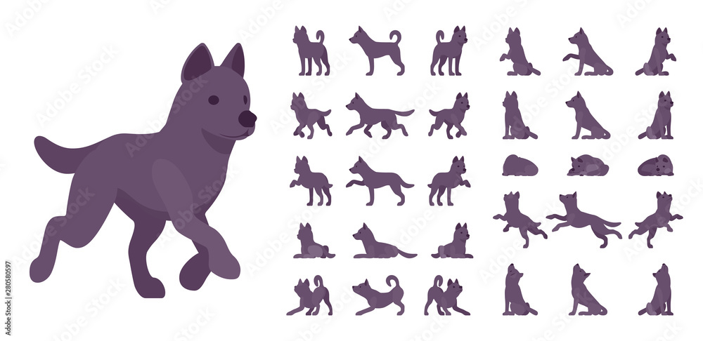 Black dog set. Medium size pet, family companion, active fun, home guarding, farm security, cute agile breed. Vector flat style cartoon illustration isolated, white background, different views, poses