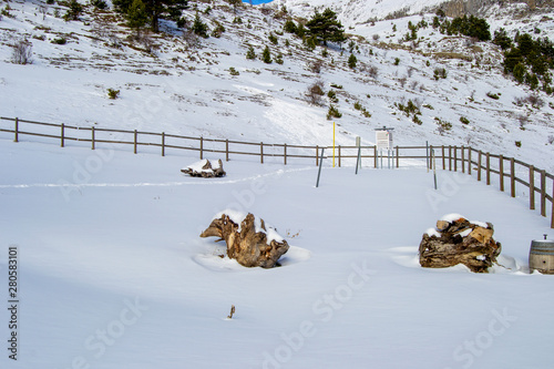 Landscape after snowing full of sun at the pirenair mountains in aragon photo