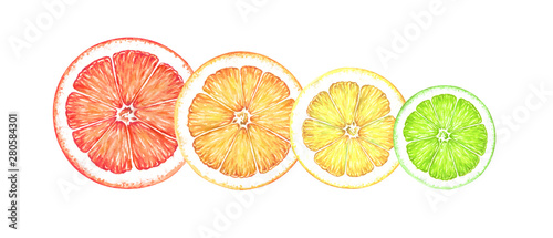Slices of ripe citrus fruits isolated on white. Watercolor illustration.