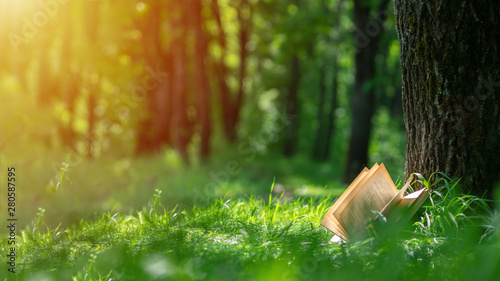 Fototapeta Naklejka Na Ścianę i Meble -  An open book lying in the Park near the tree. Layout with copyspace. Nature background