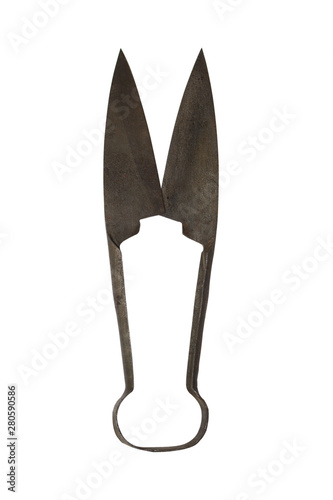 Konstfotografi Sheep Shears