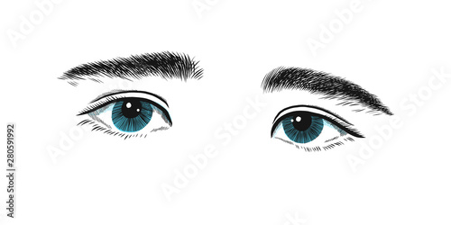 Kid with a little shy and sad of eye. Eyes emotions, sketch vector graphics black and blue drawing.
