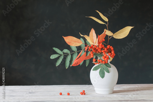 still life with rowan berries on  dark background