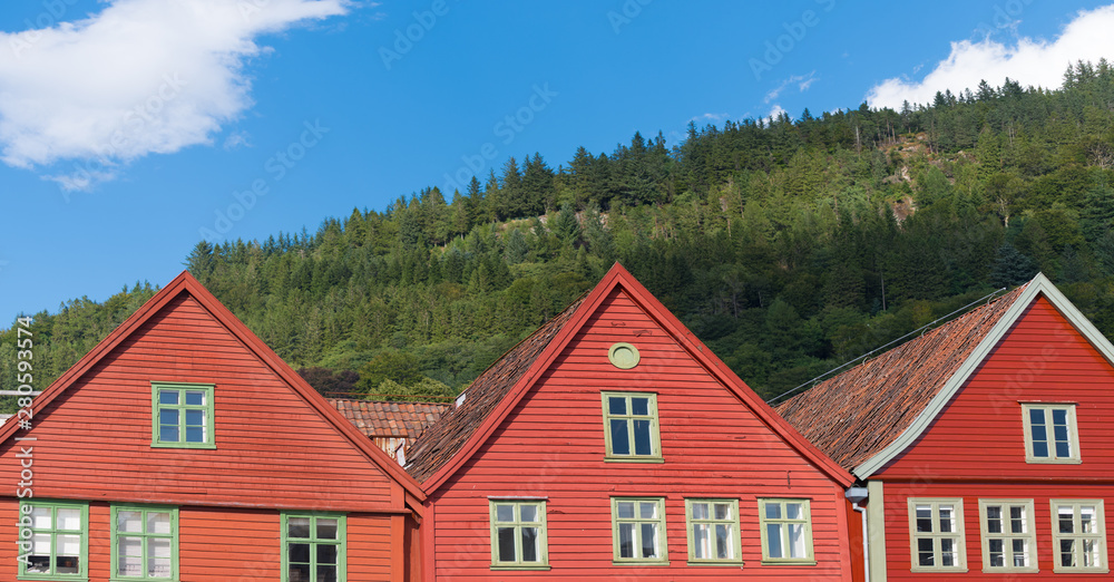 Bergen bryggen view